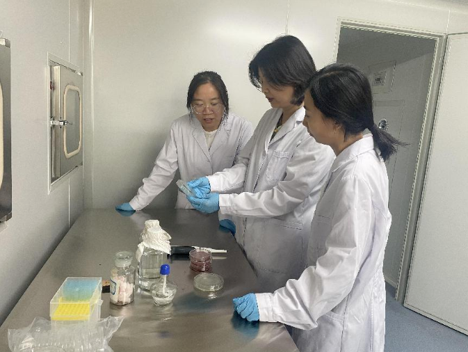 1717573775061 1717573775061